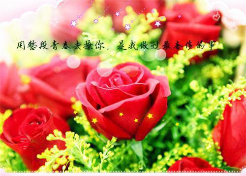 碧蓝航线男孩取名字大全