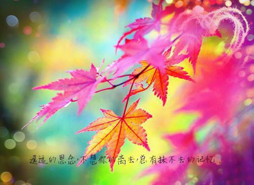 和平精英可爱的游戏名字