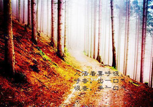 劲舞团家族名字英文情侣名字