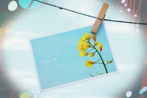网吧模拟器最好听的男孩名字