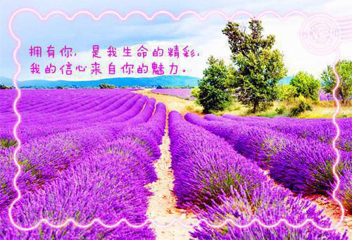 神武好听女性名字