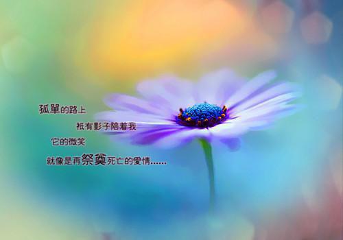 网吧模拟器可爱男生名字