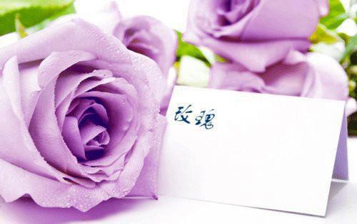 碧蓝航线好听的英文游戏名字