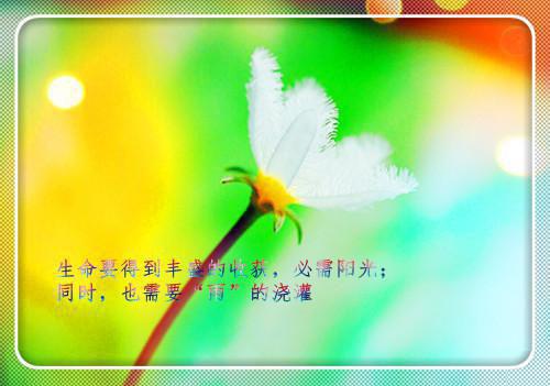 神话名字搞笑情侣名字