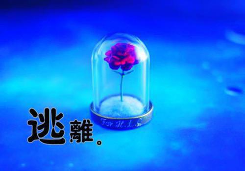 最强蜗牛网游男名字