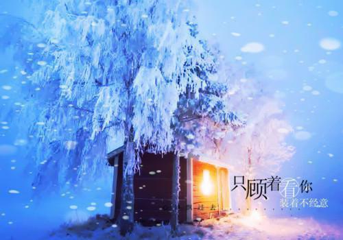 伪物语op名字可爱的情侣名字