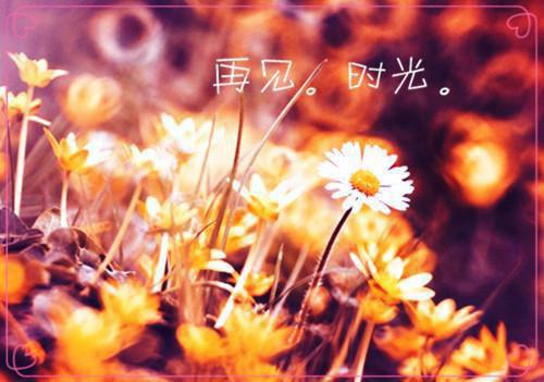 香肠派对诗意情侣名字大全