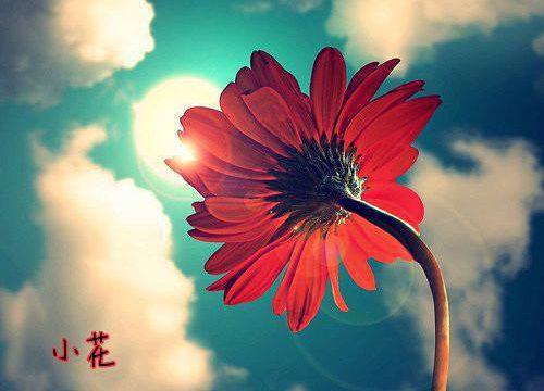 三国志幻想大陆好听女性名字