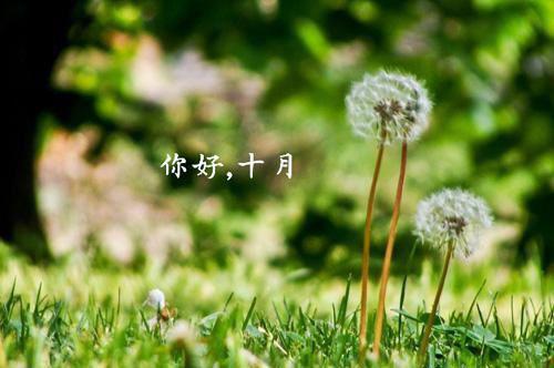 古典名字游戏名字情侣