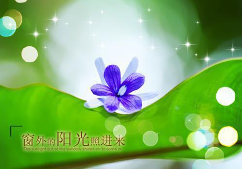 跑跑卡丁车取名字情侣名字