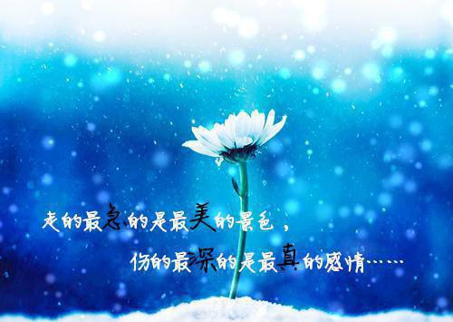 游戏帮会名字网络游戏情侣名字