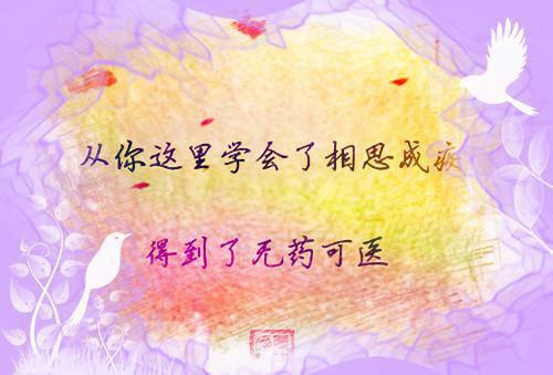 高能手办团女性的名字