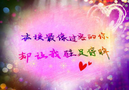 恶魔城月下夜想曲名字英语情侣名字