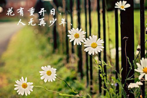 qq炫舞男英文名字大全