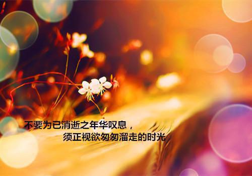 传奇好听的游戏英文名字