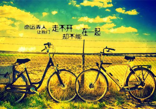 个性帮派名字情侣家族名字