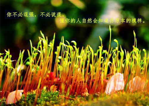 江南百景图个性男生名字