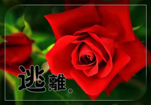 天涯明月刀网游游戏名字
