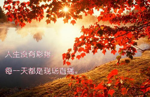 三国杀游戏工会名字