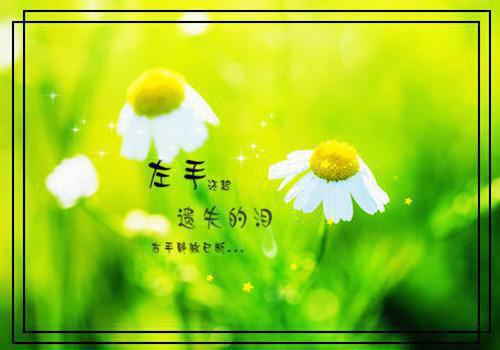 家族名字大全英语情侣名字