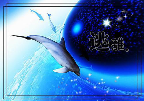 yy名字情侣的名字