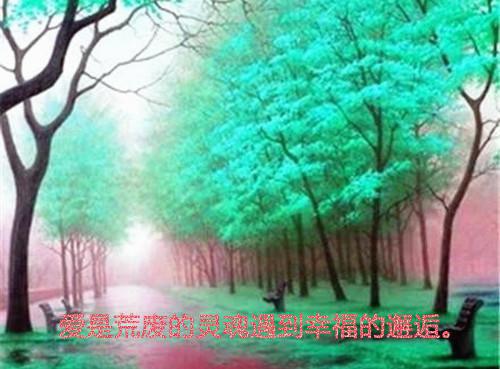 火影忍者好听男孩名字