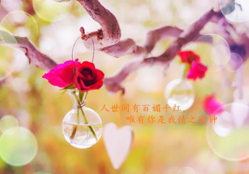 跑跑卡丁车英文名字情侣家族名字