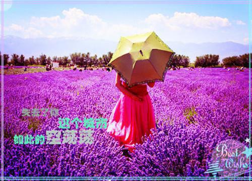 网络名字搞笑情侣名字