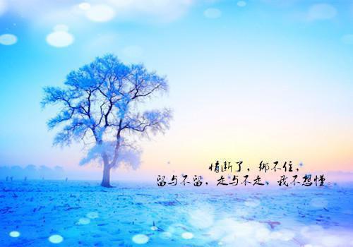 御龙在天名字情侣名字一对