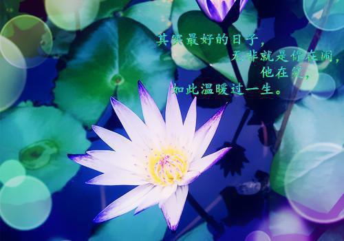 yy公会名字大全搞笑情侣名字