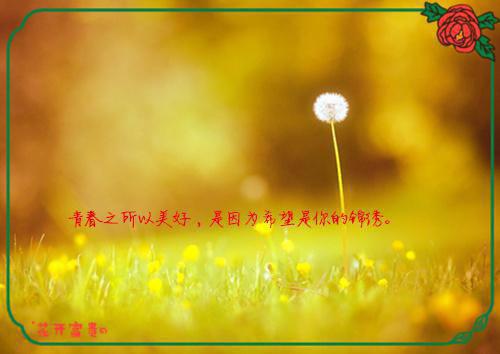 第五人格可爱的女孩子名字