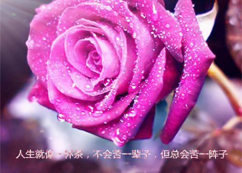 火影忍者好听女生名字