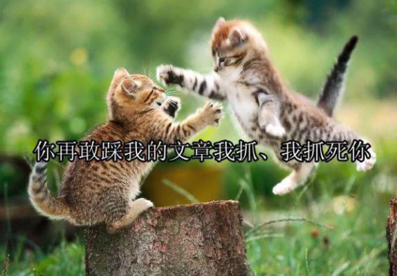 街头名字情侣个性名字