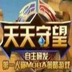 天天守望 电脑版