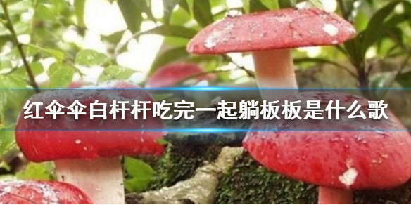 红伞伞白杆杆吃完一起躺板板是什么歌 红伞伞白杆杆魔性儿歌介绍