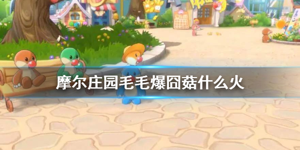 《摩尔庄园手游》毛毛爆囧菇什么火 毛毛爆囧菇火候介绍