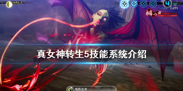 《真女神转生5》技能适合度是什么？技能系统介绍