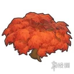 《摩尔庄园手游》枫树多久成熟 枫树种子成熟时间