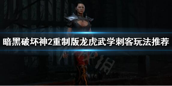 《暗黑破坏神2重制版》新手刺客怎么玩？龙虎武学刺客玩法推荐