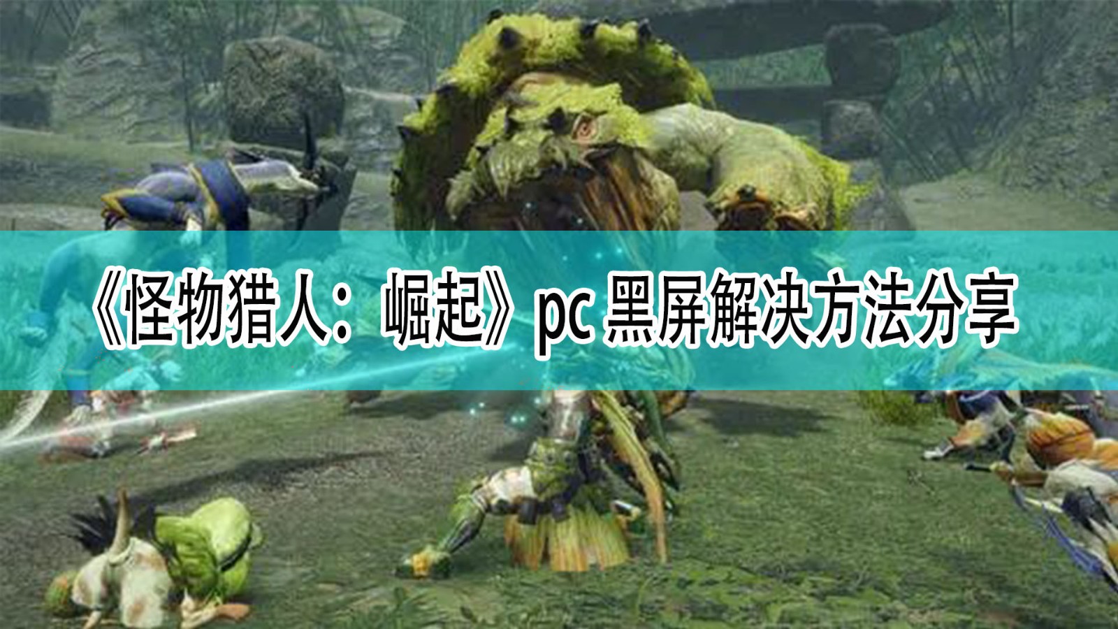 《怪物猎人：崛起》pc版黑屏解决方法