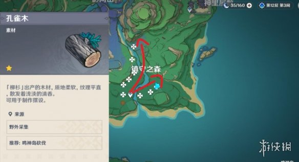 《原神》梦见木在哪砍伐？御伽木和孔雀木位置分享