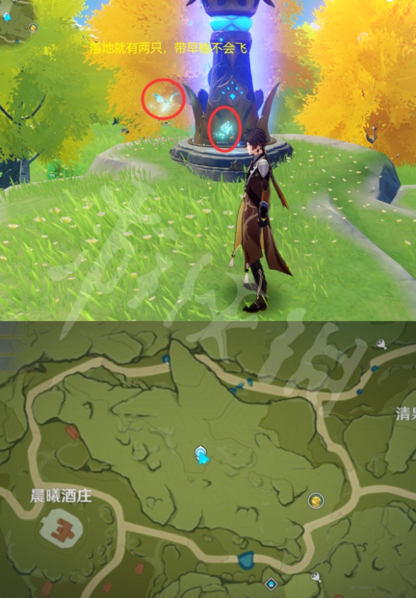 《原神》晶蝶在哪捕捉？全种类晶蝶捕捉位置介绍