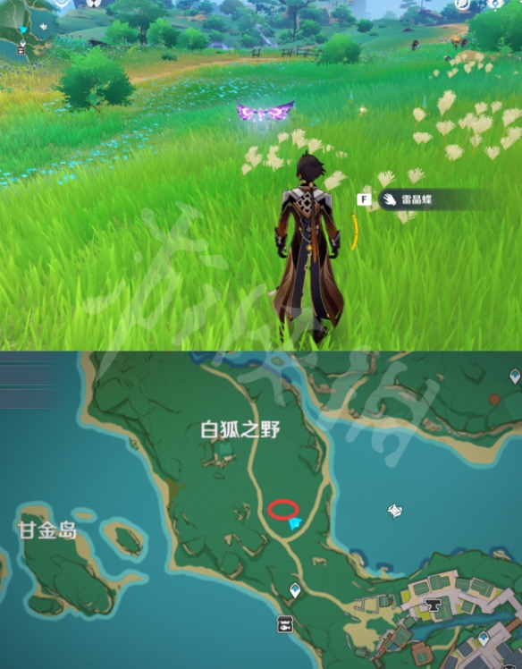 《原神》晶蝶在哪捕捉？全种类晶蝶捕捉位置介绍