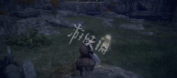 《艾尔登法环》祷告粪金龟如何获取？祷告粪金龟获取方法