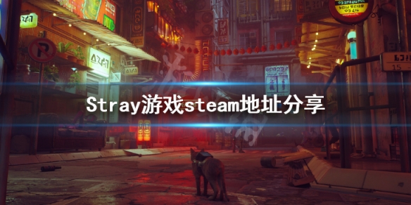 《迷失》Stray游戏steam地址分享 Stray游戏价格介绍