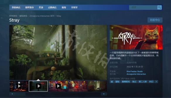 《迷失》Stray游戏steam地址分享 Stray游戏价格介绍