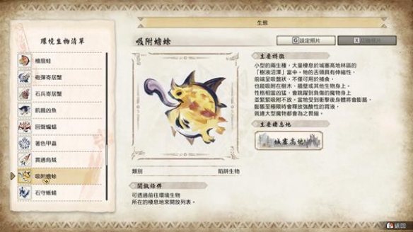《怪物猎人崛起》吸附蟾蜍在哪？曙光吸附蟾蜍位置分享