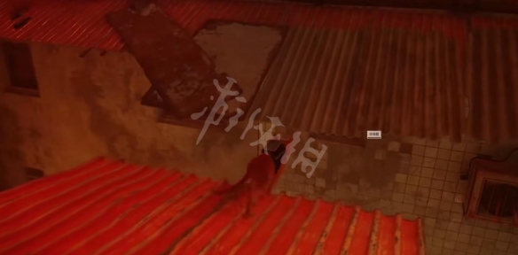 《迷失》stray游戏猫咪弹射成就获得 stray猫咪弹射奖杯获得方法