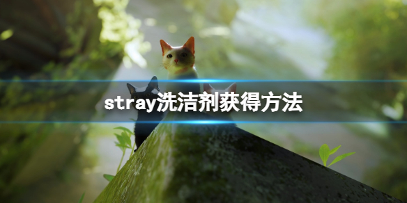 《迷失》stray洗衣店洗洁剂怎么拿？洗洁剂获得方法