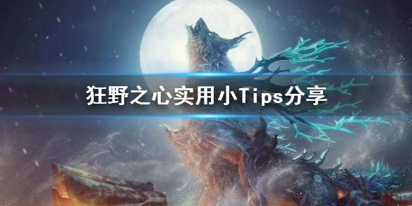 《狂野之心》实用小Tips分享  Tips有什么用？